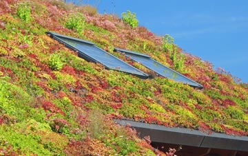 Brierley Hill living roof systems